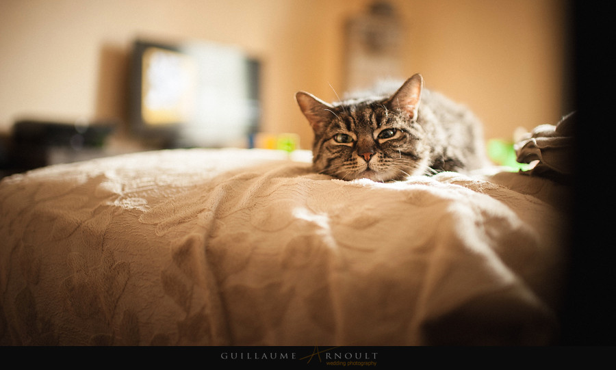 JetN_Guillaume_Arnoult_Photographe_Reportage_Mariage_Nantes_44-1084